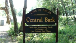 central-bark-dog-park